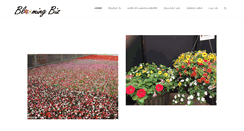 Desktop Screenshot of bloomingbiz.com