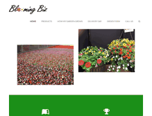 Tablet Screenshot of bloomingbiz.com